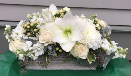 White Winter Box