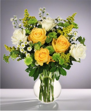 White & Yellow Roses 