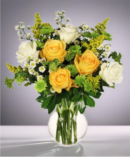 White & Yellow Roses
