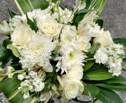 Whiter Shade of Pale Designers Choice