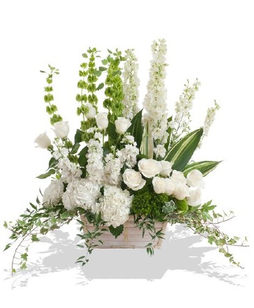 Whitewash Sympathy Arrangement Whitewash Wooden Box  in Braintree, MA | Braintree Flowers