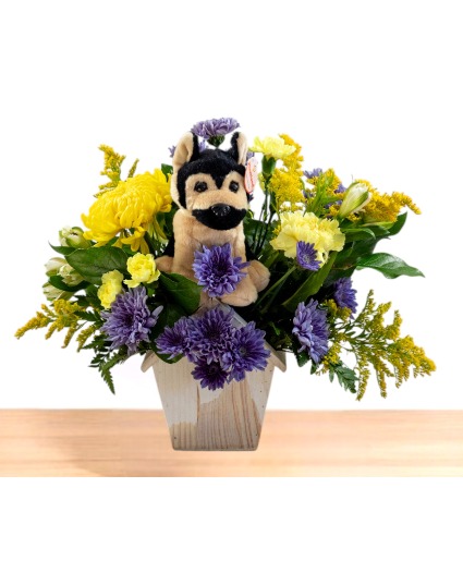 Who Let the Dog Out?  Dog House Wooden Box Arrangement