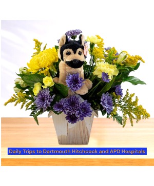 Who Let the Dog Out?  Dog House Wooden Box Arrangement