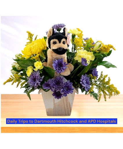 Who Let the Dog Out?  Dog House Wooden Box Arrangement