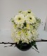 WHOOOO.....Flower Owl 