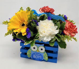 Whooooos the Cutest Baby Boy Arrangement in Springfield, MO | FLOWERAMA #226 Whooooos the Cutest Baby Boy Arrangement in Springfield, MO | FLOWERAMA #226