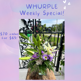 Whurple Weekly Special 