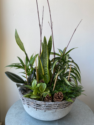Wicker Tin of Lush Tropicals 