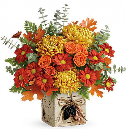 Wild Autumn