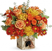 Wild Autumn Bouquet Cube Teleflora