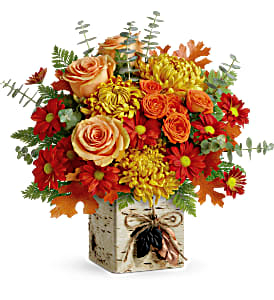 Wild Autumn Fall Birthday/ Autumn