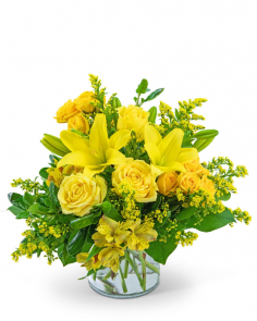 Category Image