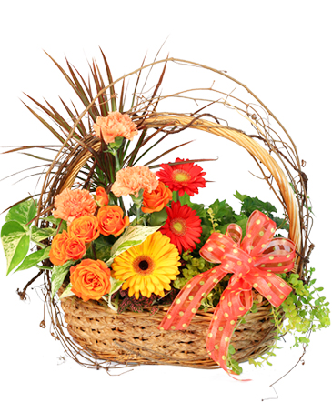 Wild Country Basket Flowering Plants in Union, SC | GWINN'S FLORIST