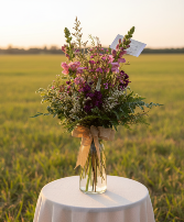 Wild & Free Everyday