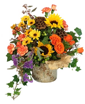 Wild Ivy Floral Arrangement