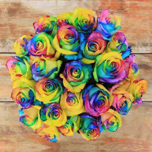 Wild Love for you bear, chocolates, mylar balloon and dozen rainbow  roses in a vase