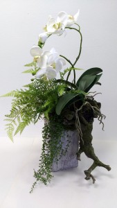 Wild Orchid Design Interior Decor