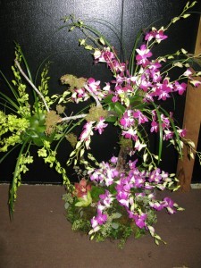 Wild Orchid Tree