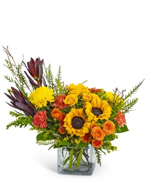 Wild Saffron Flower Arrangement