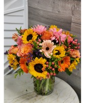 Wild Sunflowers & Gerberas 