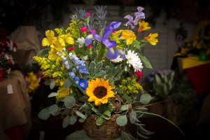Wild Woman - Womens Month Special in Farmville, VA | Rochette's Florist Wild Woman - Womens Month Special in Farmville, VA | Rochette's Florist