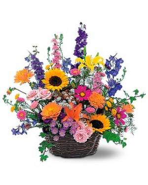 Wildflower Basket in Lebanon, NH | LEBANON GARDEN OF EDEN FLORAL SHOP Wildflower Basket in Lebanon, NH | LEBANON GARDEN OF EDEN FLORAL SHOP