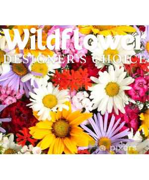 Wildflower Garden Designer's Choice