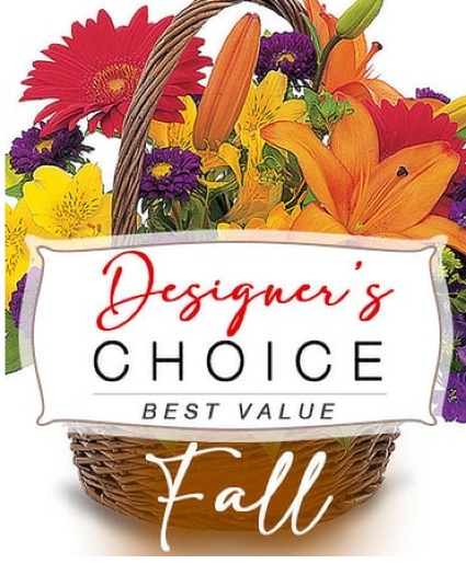 Wilsons Designer Choice