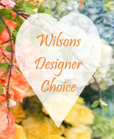 Wilsons Designer Choice in Arlington, TX | Wilsons in Bloom Wilsons Designer Choice in Arlington, TX | Wilsons in Bloom