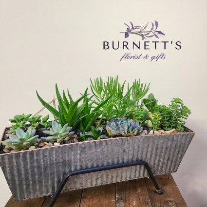 Window box succulent planter  Planter