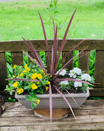 Window Planter Full Sun