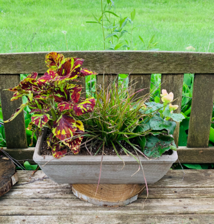 Window Planter Part Sun/ Shade