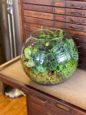 Wine & Design Class April 28 @6pm Terrarium Hands On Class in Du Bois, PA | BRADY STREET FLORIST Wine & Design Class April 28 @6pm Terrarium Hands On Class in Du Bois, PA | BRADY STREET FLORIST