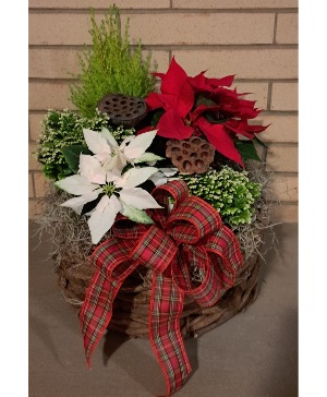 Winter Blooming Garden 