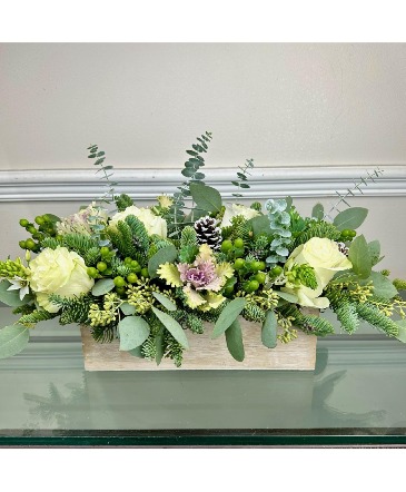 Winter Box in Melbourne, FL | VIOLETS IN BLOOM Winter Box in Melbourne, FL | VIOLETS IN BLOOM