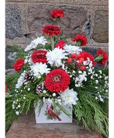 Winter Cardinal Christmas 