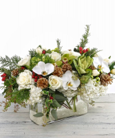 Winter Celebrations