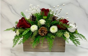 Winter Cheer Christmas