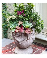 Curb Appeal Seasonal Container gardens & Planters