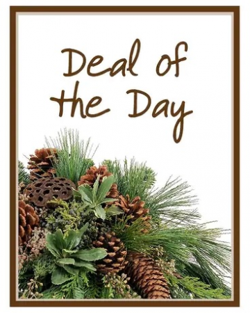 Winter Deal of the Day  in Croton On Hudson, NY | Cooke's Little Shoppe Of Flowers