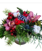 Cardinals Are Singing 