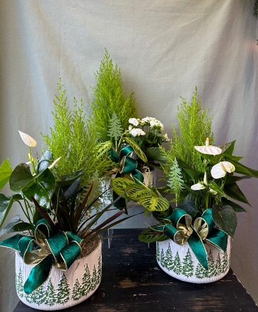 Evergreen Holiday Planters  in La Grande, OR | FITZGERALD FLOWERS