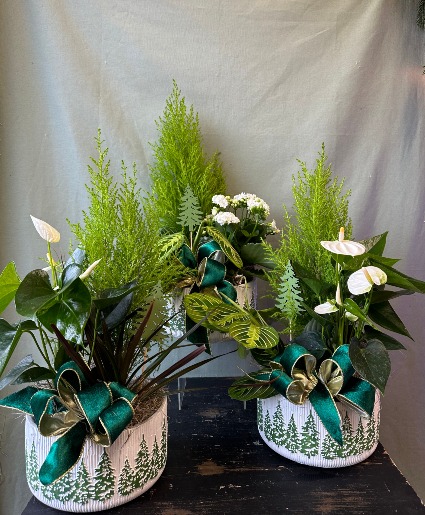 Evergreen Holiday Planters 