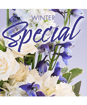 Winter Scenery Brick NJ Florist - Flower Bar