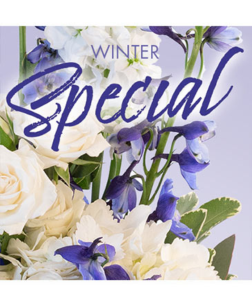 Winter Favorite Designer's Choice in Chamberlain, SD | THE FLOWER BARREL & BALLOONS