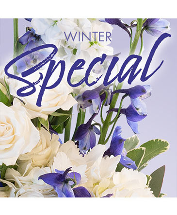 Winter Favorite Designer's Choice in Orleans, ON | SELECT BLOOMS FLORAL BOUTIQUE