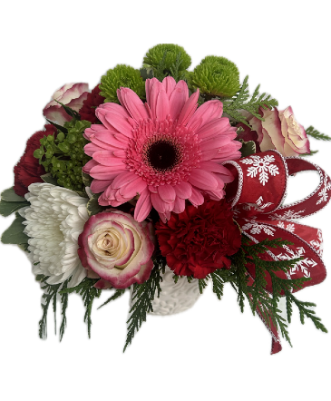 https://cdn.atwilltech.com/flowerdatabase/w/winter-fresh-657221a379ff44.70749178.365.png