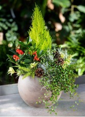 Winter Garden  