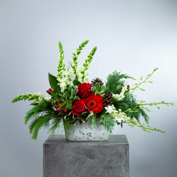 Winter Garden Centerpiece Christmas in Hesperia, CA | FAIRY TALES FLOWERS & GIFTS