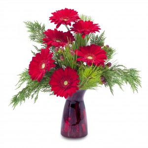 Winter Gerbera Arrangement